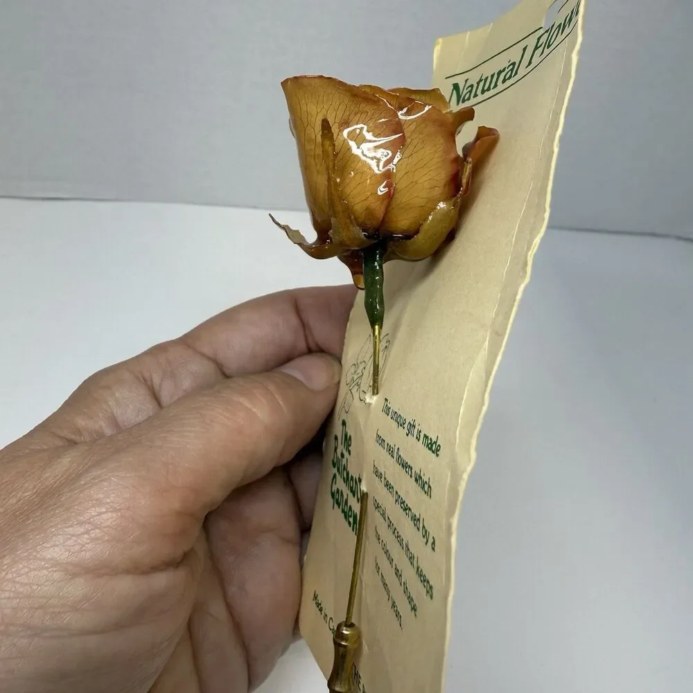 Vintage The Butchart Gardens Natural Preserved Rose Stick Pin Brooch New